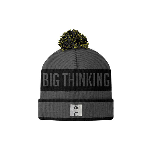 Big Thinking. Knit Cap